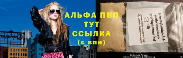 apvp Алзамай