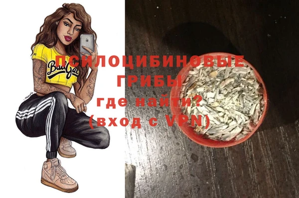 a pvp Алексин