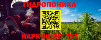 прущие грибы Изобильный