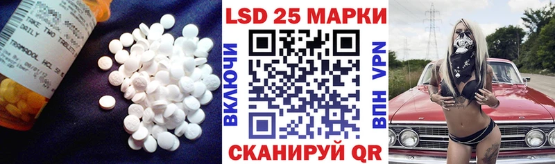 как найти наркотики  Курчалой  Лсд 25 экстази кислота 