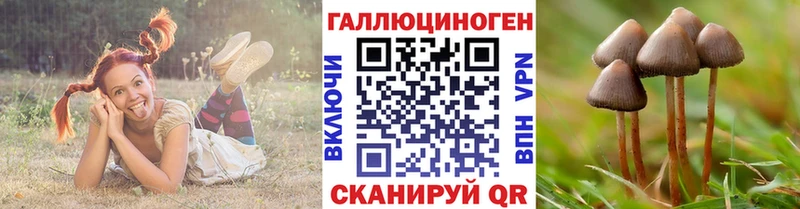 Галлюциногенные грибы прущие грибы  Курчалой 