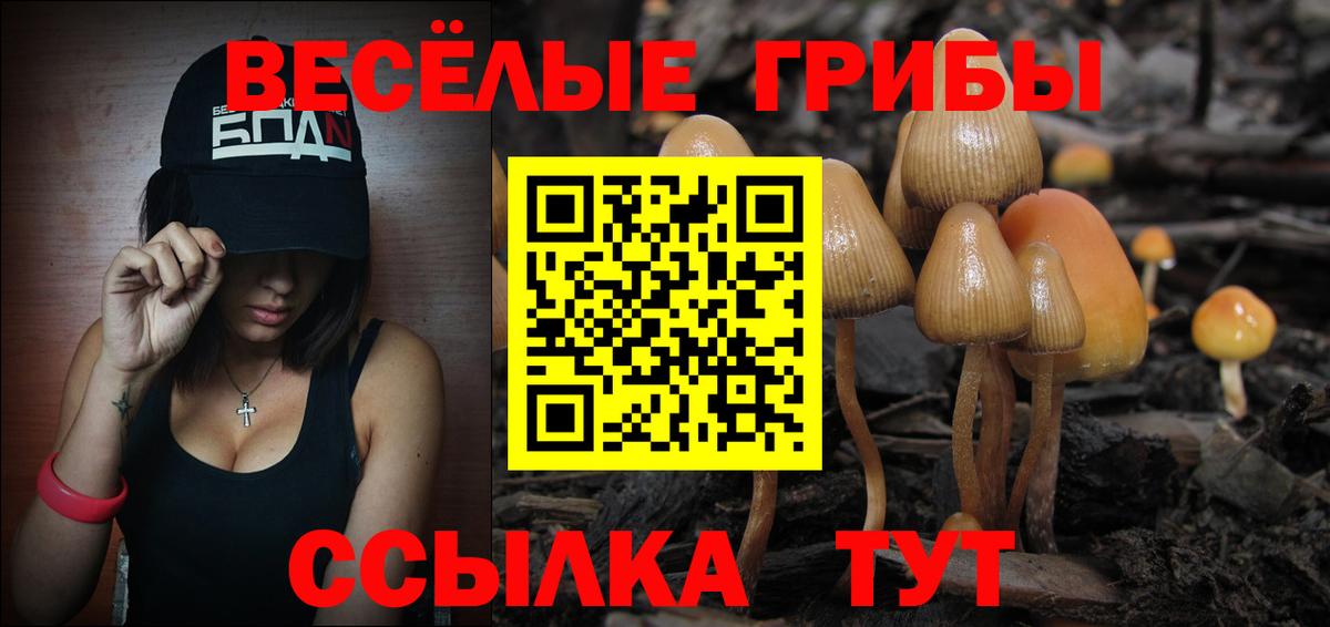 Курчалой  Галлюциногенные грибы MAGIC MUSHROOMS  Псилоцибиновые грибы мицелий  Вход с VPN 