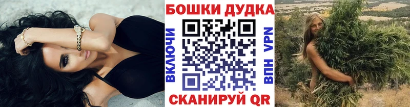 купить наркотики цена  Курчалой  Бошки Шишки Amnesia 